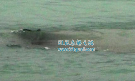六,世界十大水怪之青海湖水怪