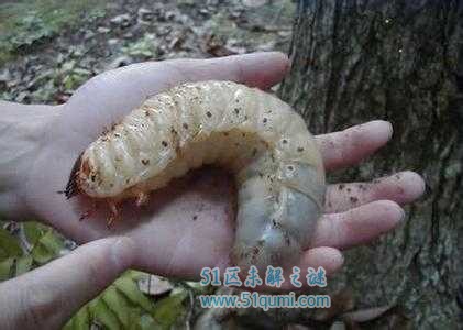 它是真实存在的吗?