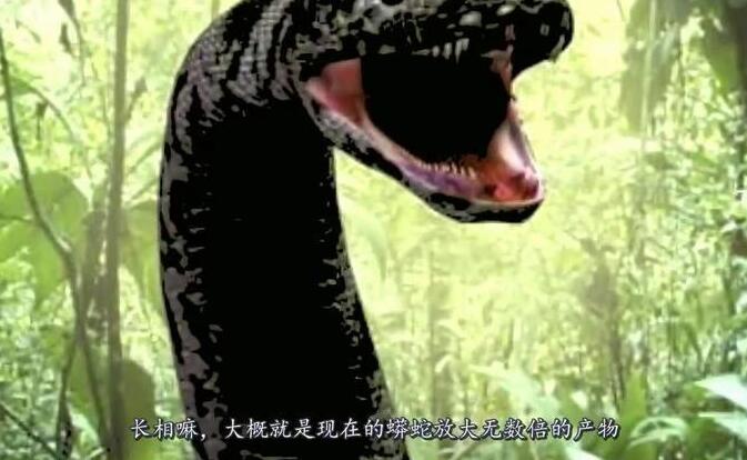 体重超过1吨的泰坦巨蟒5500万年前出现过