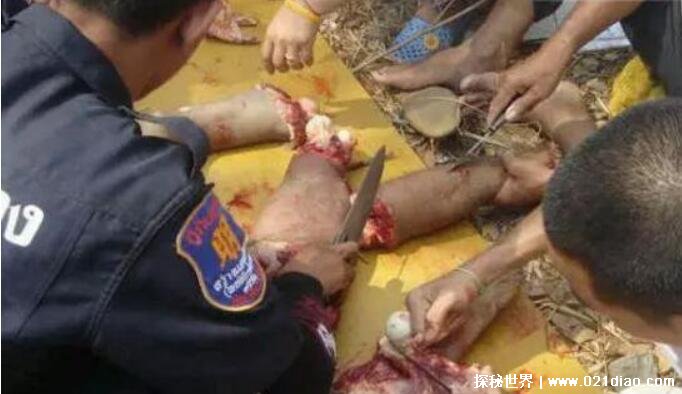 泰国食人宴是不是真的存在于泰国偏远山区图片恐怖胆小慎入