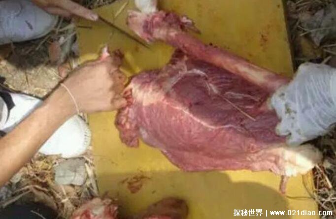 泰国食人宴是不是真的,存在于泰国偏远山区(图片恐怖胆小慎入)