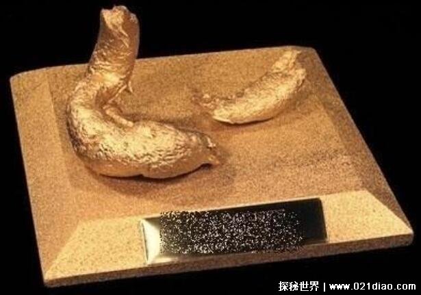日本屎宴是真是假用chu女的屎制作而成网友的谣言