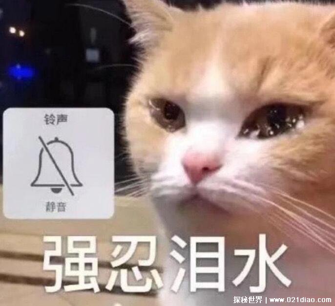 贴吧蚌埠住了什么梗啥意思绷不住了指情感受到了巨大冲击