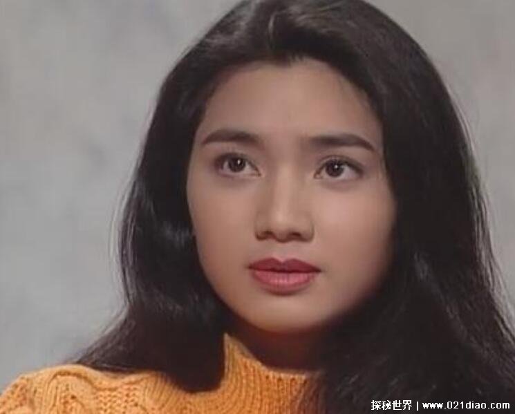洪欣被塞肉丸子是怎么回事富商逼其将丸子塞进下体纯属谣言