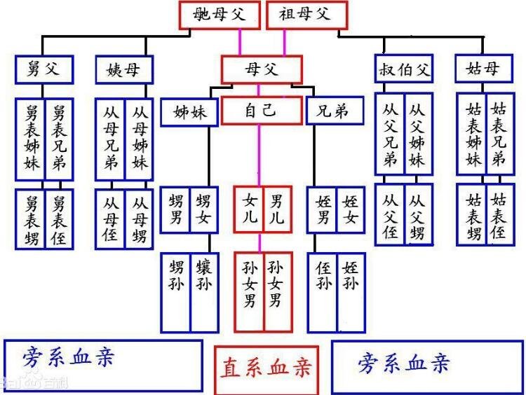 孩子辈分称呼大全图，赶快教孩子避免过年的时候叫错人