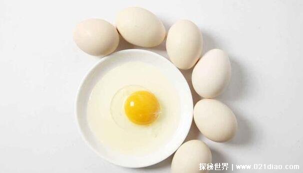 十大高蛋白食物排行榜一览表，鸡蛋最优质(想变壮多吃肉)(图2)