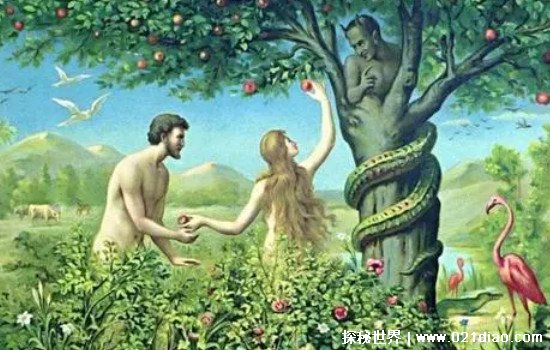 世界上第一个死亡的人，猿人(宗教说法中是亚当和夏娃)(图3)