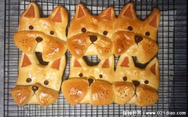 面包狗什么梗，出自抖音热图(适合发给爸妈)