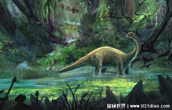 中国发现了一只活恐龙，假的(只是发现了恐龙琥珀而已) — 探秘世界
