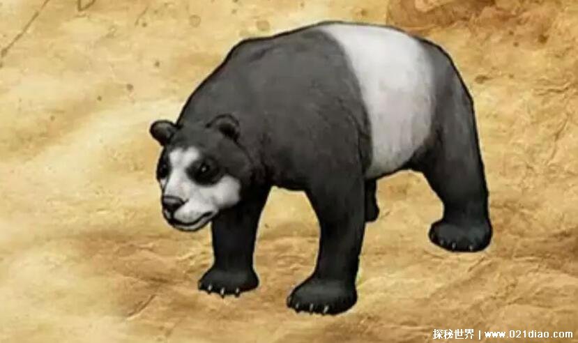 远古时代的大熊猫图片