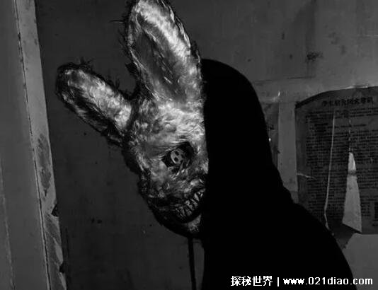 中国恐怖兔人兔子图片