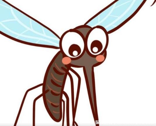 蚊子是否发生了进化，一直在进化 冬天也会出现蚊子