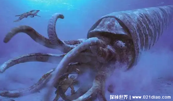 十大深海巨兽，最大生物血管都有小孩那么粗