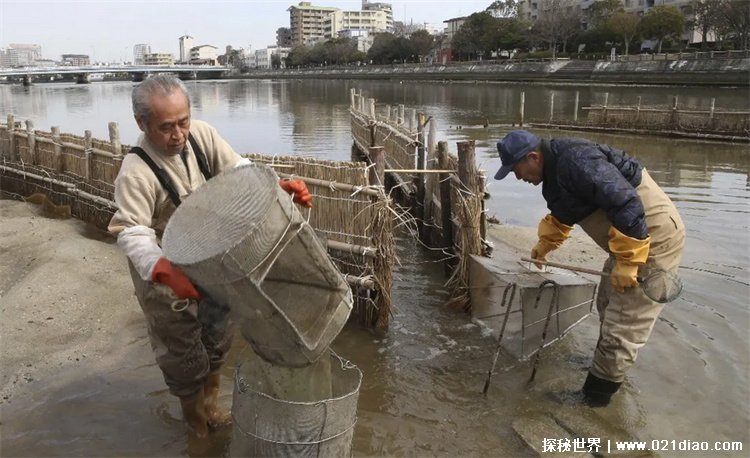 世界上捕鱼量最大的国家是哪个?日本常年位居第一