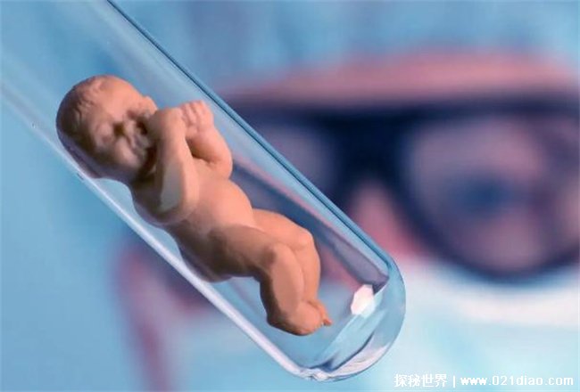 世界上最早的试管婴儿，1978年诞生 (出生于英国)