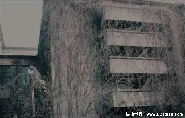 南京最恐怖的学校，南京三江学院 (灵异事件)