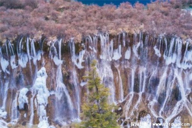 中国最宽的瀑布是哪个，诺日朗瀑布(位于四川)