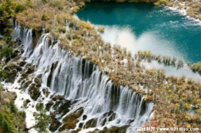 中国最宽的瀑布是哪个，诺日朗瀑布(位于四川)