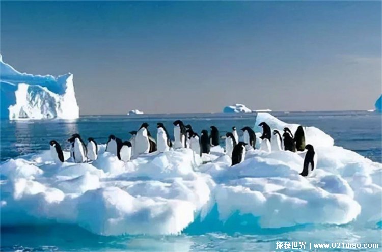 世界平均海拔最高的大洲南极洲海拔2350米 (于地球南端)