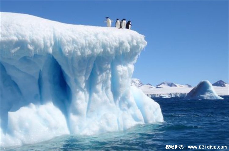 世界平均海拔最高的大洲南极洲海拔2350米 (于地球南端)