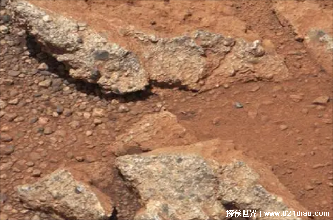 火星上再次被拍到鱼化石 或火星上有生物存在(生命的痕迹)
